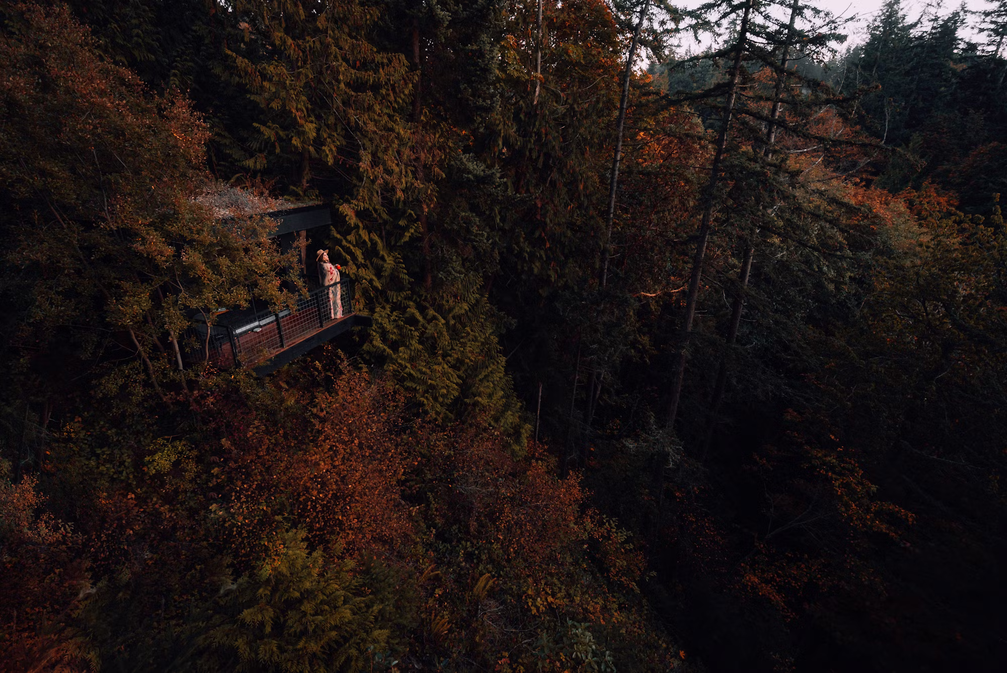 Exploring Sustainable Living: A Guide to Eco-Friendly Homes