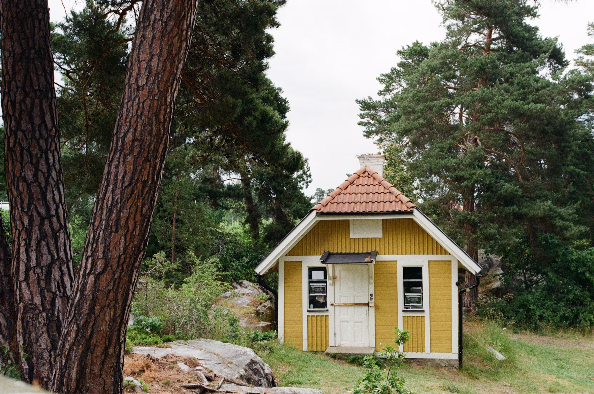 Sustainable Living: Designing Homes with Eco-Friendly Principles